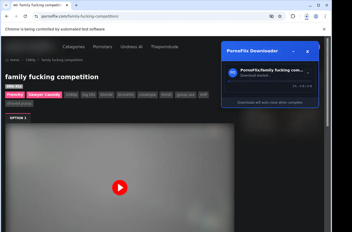 Pornoflix Video Downloader screenshot 2