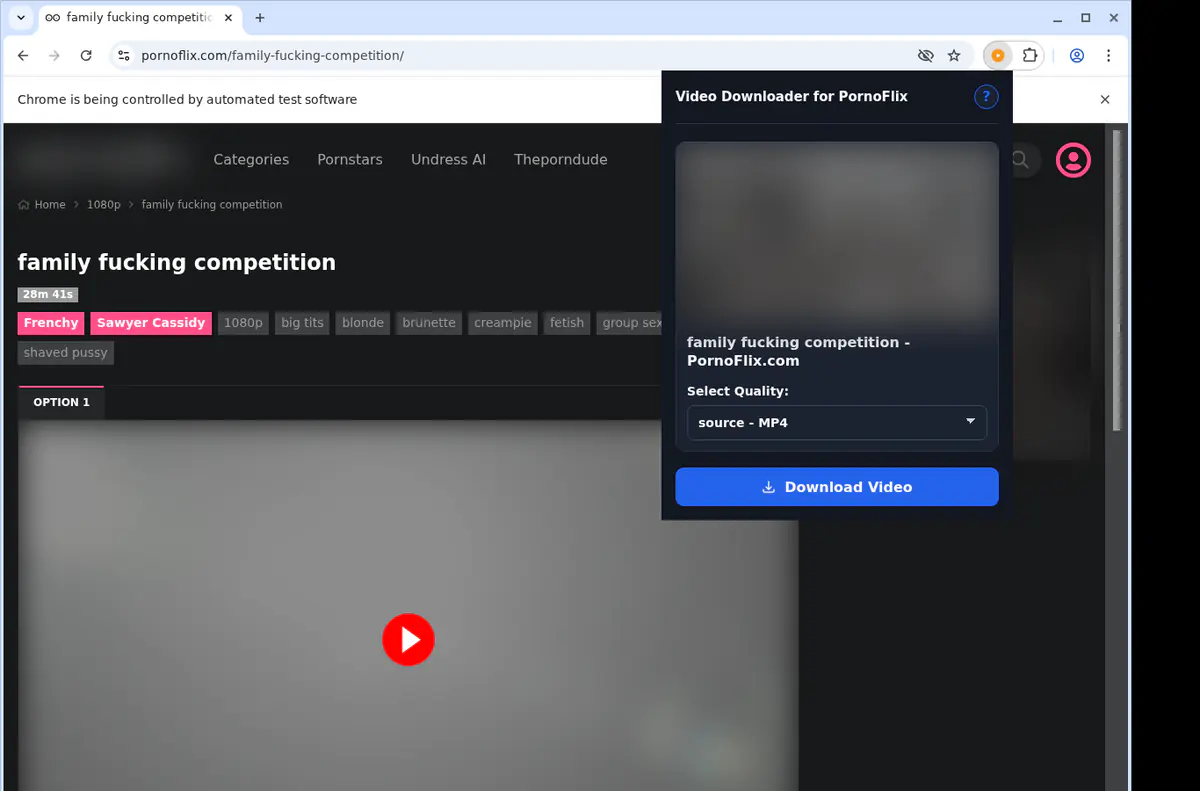 Pornoflix Video Downloader screenshot 3